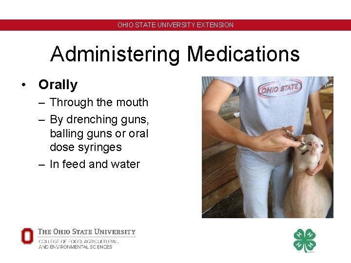 OHIO STATE UNIVERSITY EXTENSION Administering Medications • Orally – Through the mouth – By OHIO STATE UNIVERSITY EXTENSION Administering Medications • Orally – Through the mouth – By