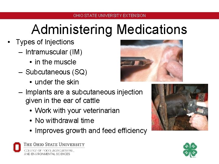 OHIO STATE UNIVERSITY EXTENSION Administering Medications • Types of Injections – Intramuscular (IM) • OHIO STATE UNIVERSITY EXTENSION Administering Medications • Types of Injections – Intramuscular (IM) •