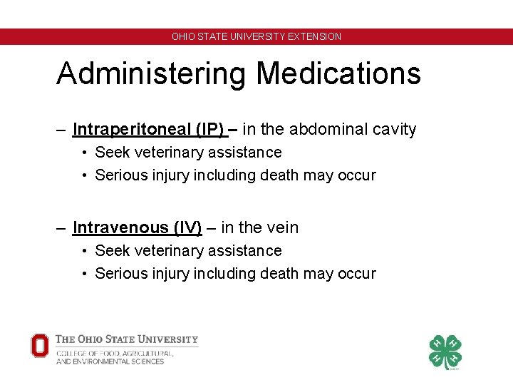OHIO STATE UNIVERSITY EXTENSION Administering Medications – Intraperitoneal (IP) – in the abdominal cavity OHIO STATE UNIVERSITY EXTENSION Administering Medications – Intraperitoneal (IP) – in the abdominal cavity