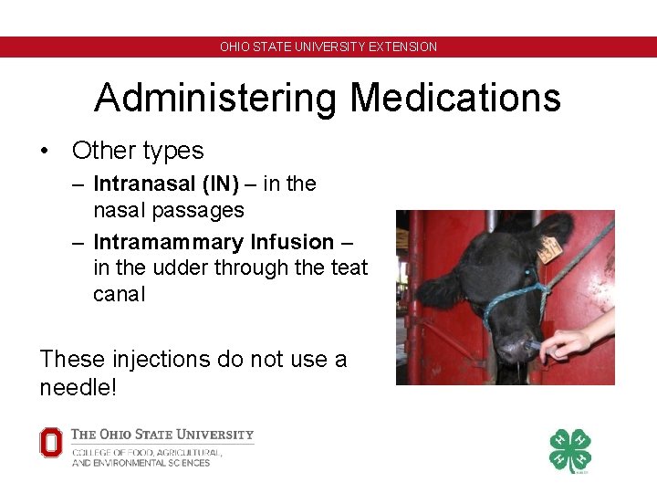 OHIO STATE UNIVERSITY EXTENSION Administering Medications • Other types – Intranasal (IN) – in OHIO STATE UNIVERSITY EXTENSION Administering Medications • Other types – Intranasal (IN) – in