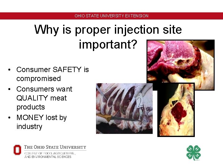OHIO STATE UNIVERSITY EXTENSION Why is proper injection site important? • Consumer SAFETY is OHIO STATE UNIVERSITY EXTENSION Why is proper injection site important? • Consumer SAFETY is
