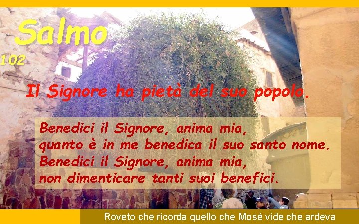 Salmo 102 Il Signore ha pietà del suo popolo. Benedici il Signore, anima mia,