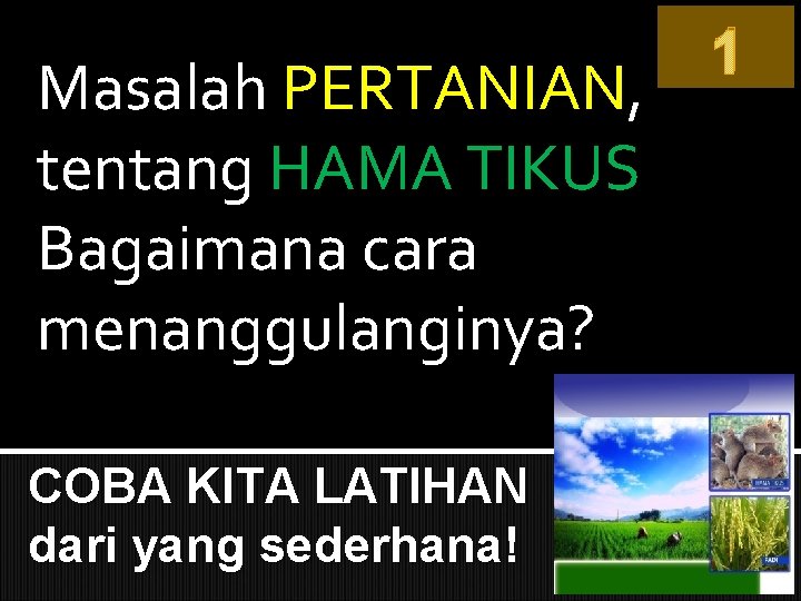 Masalah PERTANIAN, tentang HAMA TIKUS Bagaimana cara menanggulanginya? COBA KITA LATIHAN dari yang sederhana!