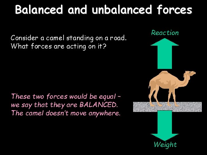 Balanced and unbalanced forces Consider a camel standing on a road. What forces are