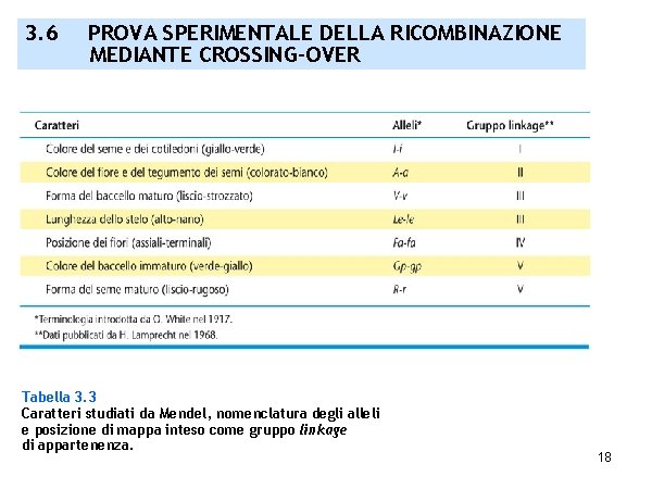 3. 6 PROVA SPERIMENTALE DELLA RICOMBINAZIONE MEDIANTE CROSSING-OVER Tabella 3. 3 Caratteri studiati da