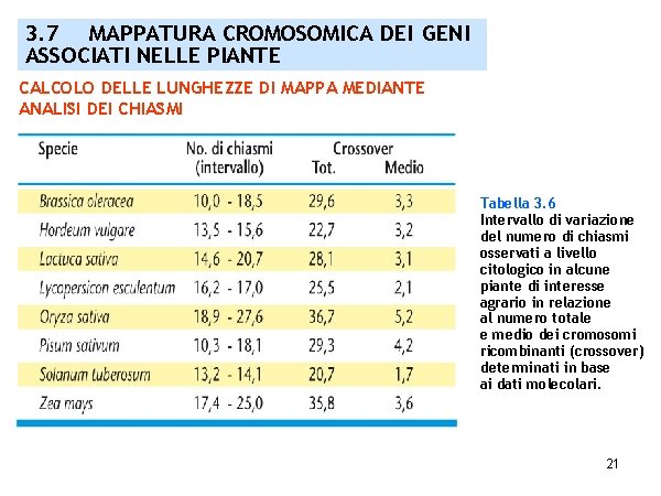 3. 7 MAPPATURA CROMOSOMICA DEI GENI ASSOCIATI NELLE PIANTE CALCOLO DELLE LUNGHEZZE DI MAPPA