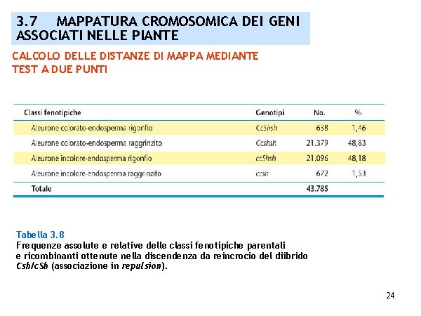 3. 7 MAPPATURA CROMOSOMICA DEI GENI ASSOCIATI NELLE PIANTE CALCOLO DELLE DISTANZE DI MAPPA