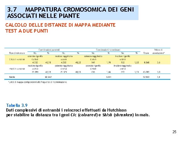 3. 7 MAPPATURA CROMOSOMICA DEI GENI ASSOCIATI NELLE PIANTE CALCOLO DELLE DISTANZE DI MAPPA