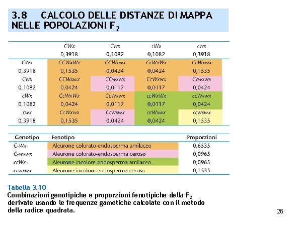 3. 8 CALCOLO DELLE DISTANZE DI MAPPA NELLE POPOLAZIONI F 2 Tabella 3. 10