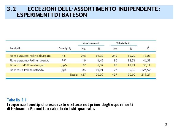 3. 2 ECCEZIONI DELL’ASSORTIMENTO INDIPENDENTE: ESPERIMENTI DI BATESON Tabella 3. 1 Frequenze fenotipiche osservate