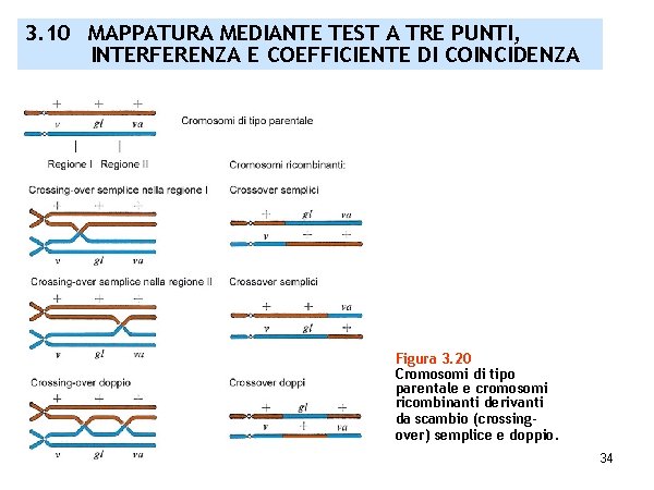 3. 10 MAPPATURA MEDIANTE TEST A TRE PUNTI, INTERFERENZA E COEFFICIENTE DI COINCIDENZA Figura