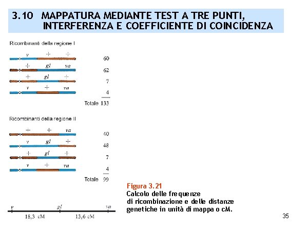 3. 10 MAPPATURA MEDIANTE TEST A TRE PUNTI, INTERFERENZA E COEFFICIENTE DI COINCIDENZA Figura