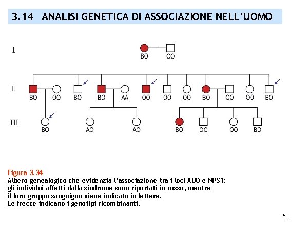 3. 14 ANALISI GENETICA DI ASSOCIAZIONE NELL’UOMO Figura 3. 34 Albero genealogico che evidenzia