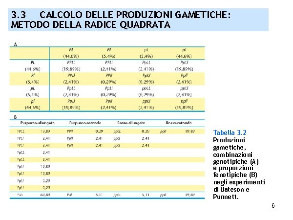 3. 3 CALCOLO DELLE PRODUZIONI GAMETICHE: METODO DELLA RADICE QUADRATA Tabella 3. 2 Produzioni