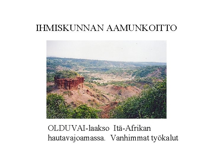 IHMISKUNNAN AAMUNKOITTO OLDUVAI-laakso Itä-Afrikan hautavajoamassa. Vanhimmat työkalut 