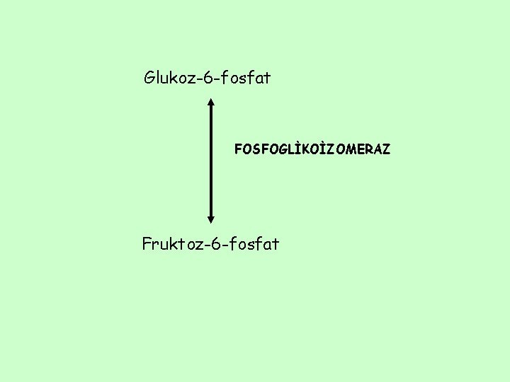 Glukoz-6 -fosfat FOSFOGLİKOİZOMERAZ Fruktoz-6 -fosfat 
