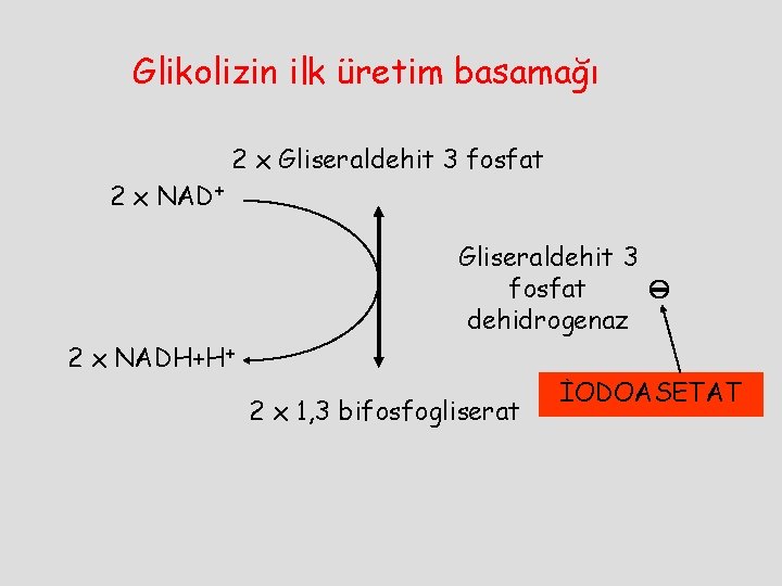 Glikolizin ilk üretim basamağı 2 x Gliseraldehit 3 fosfat 2 x NAD+ Gliseraldehit 3