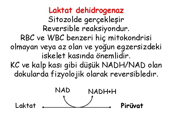 Laktat dehidrogenaz Sitozolde gerçekleşir Reversible reaksiyondur. RBC ve WBC benzeri hiç mitokondrisi olmayan veya
