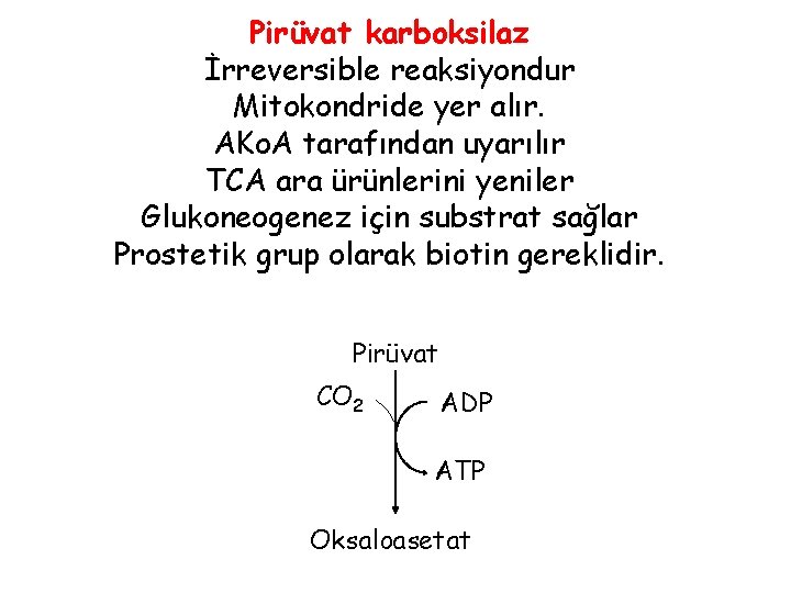 Pirüvat karboksilaz İrreversible reaksiyondur Mitokondride yer alır. AKo. A tarafından uyarılır TCA ara ürünlerini