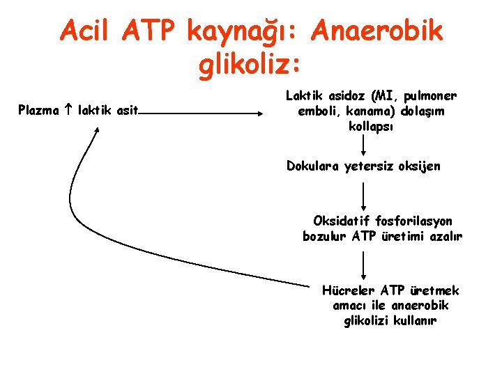Acil ATP kaynağı: Anaerobik glikoliz: Plazma laktik asit Laktik asidoz (MI, pulmoner emboli, kanama)
