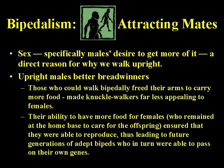 Bipedalism: Attracting Mates • Sex — specifically males' desire to get more of it