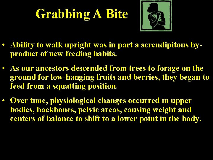 Grabbing A Bite • Ability to walk upright was in part a serendipitous byproduct