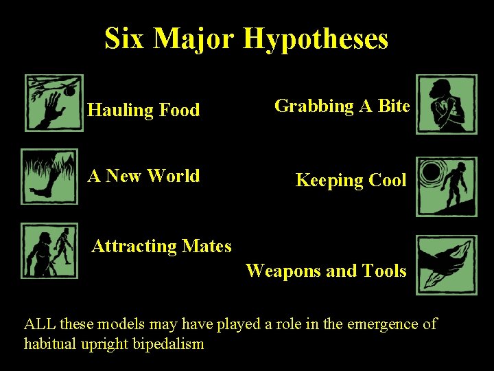 Six Major Hypotheses Hauling Food Grabbing A Bite A New World Keeping Cool Attracting