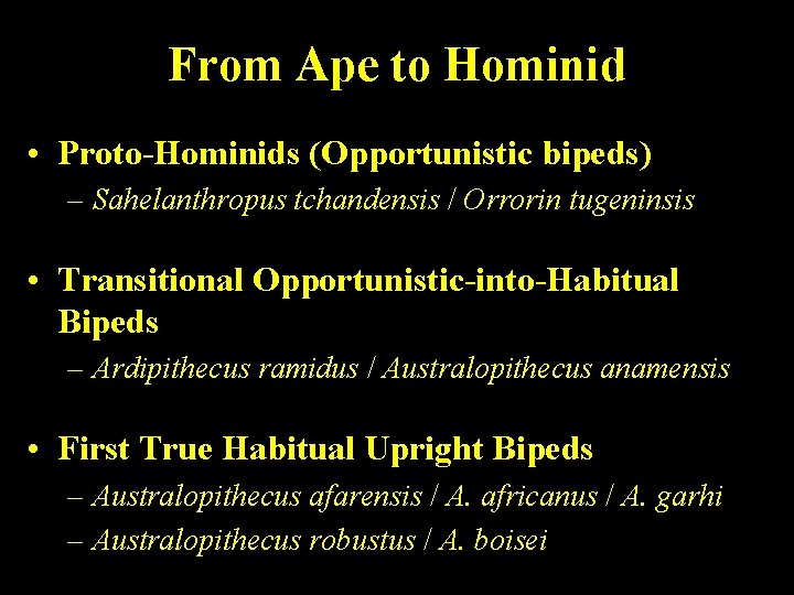 From Ape to Hominid • Proto-Hominids (Opportunistic bipeds) – Sahelanthropus tchandensis / Orrorin tugeninsis