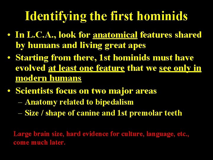 Identifying the first hominids • In L. C. A. , look for anatomical features