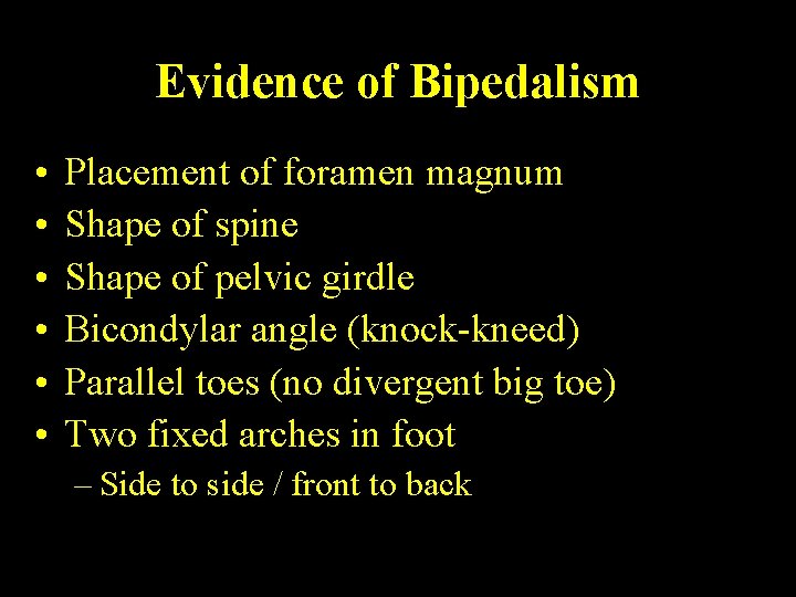 Evidence of Bipedalism • • • Placement of foramen magnum Shape of spine Shape