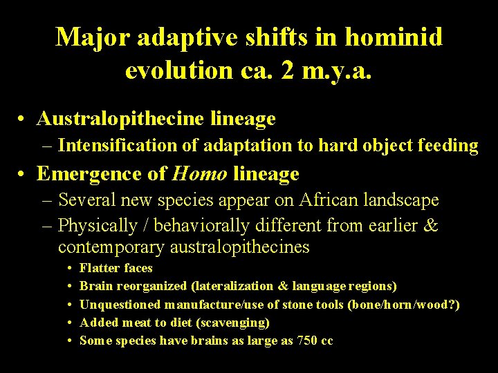 Major adaptive shifts in hominid evolution ca. 2 m. y. a. • Australopithecine lineage