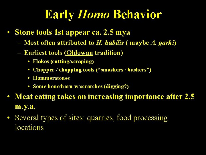 Early Homo Behavior • Stone tools 1 st appear ca. 2. 5 mya –