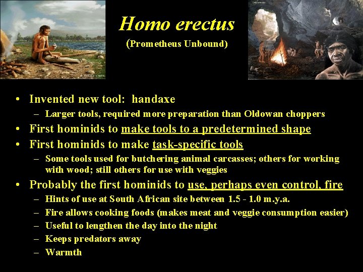 Homo erectus (Prometheus Unbound) • Invented new tool: handaxe – Larger tools, required more