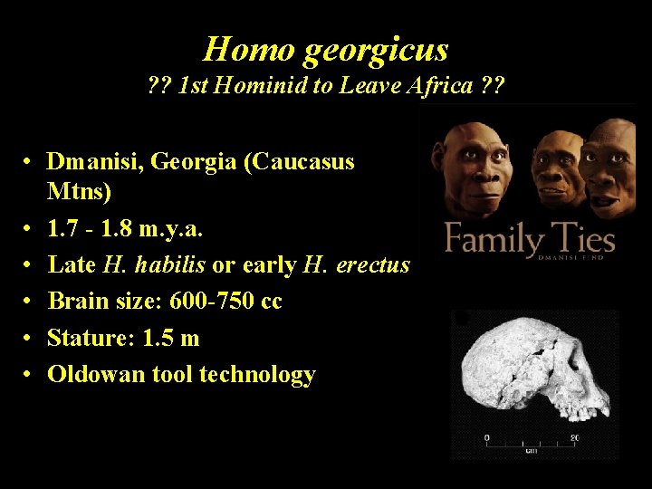 Homo georgicus ? ? 1 st Hominid to Leave Africa ? ? • Dmanisi,