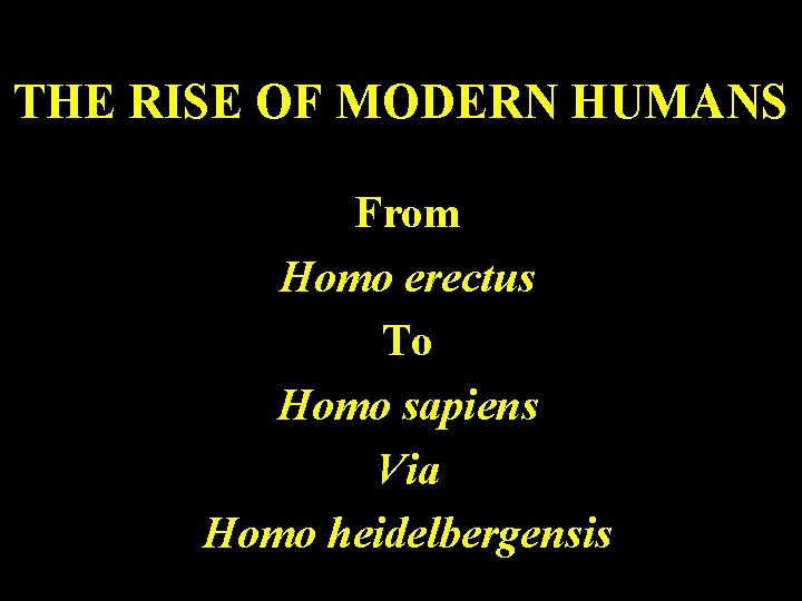 THE RISE OF MODERN HUMANS From Homo erectus To Homo sapiens Via Homo heidelbergensis