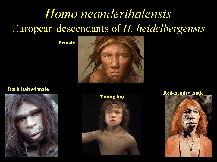 Homo neanderthalensis European descendants of H. heidelbergensis Female Dark haired male Young boy Red-headed