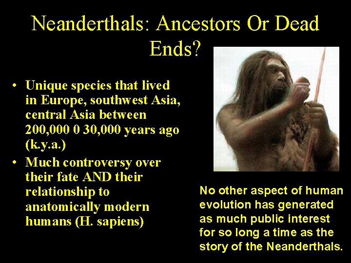 Neanderthals: Ancestors Or Dead Ends? • Unique species that lived in Europe, southwest Asia,