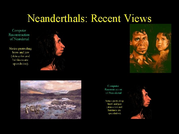 Neanderthals: Recent Views 