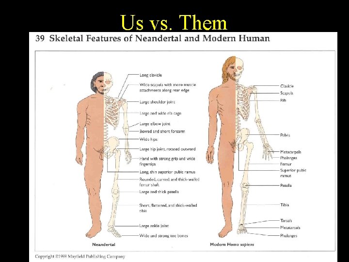 Us vs. Them 