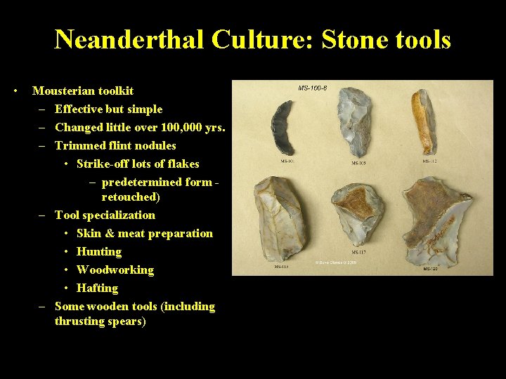 Neanderthal Culture: Stone tools • Mousterian toolkit – Effective but simple – Changed little