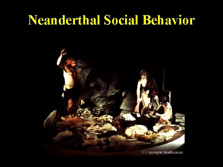 Neanderthal Social Behavior 