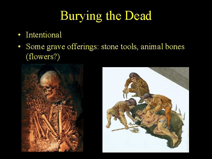 Burying the Dead • Intentional • Some grave offerings: stone tools, animal bones (flowers?