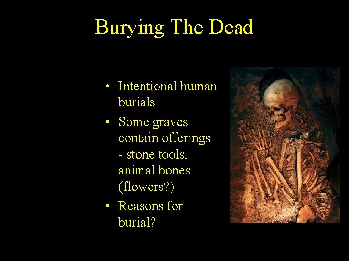 Burying The Dead • Intentional human burials • Some graves contain offerings - stone