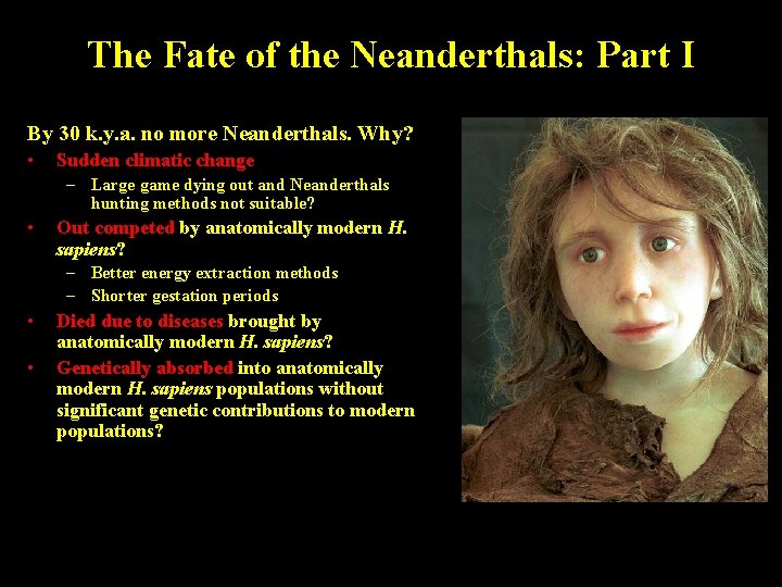 The Fate of the Neanderthals: Part I By 30 k. y. a. no more