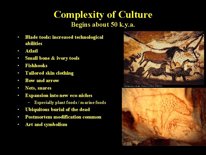 Complexity of Culture Begins about 50 k. y. a. • • Blade tools: increased