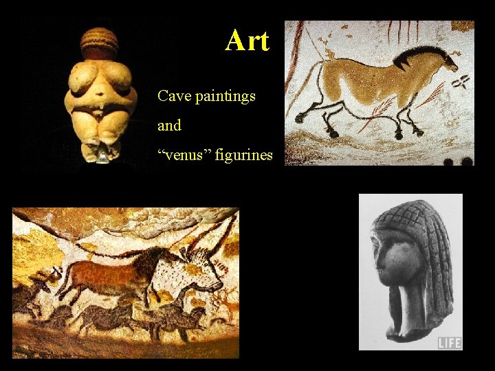 Art Cave paintings and “venus” figurines 