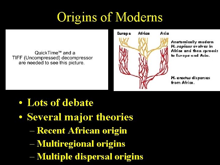 Origins of Moderns • Lots of debate • Several major theories – Recent African