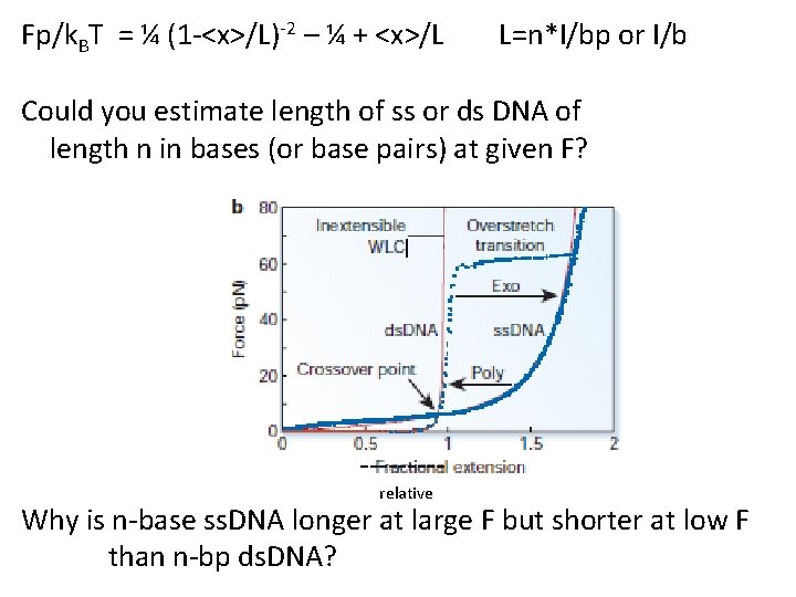 Fp/k. BT = ¼ (1 -<x>/L)-2 – ¼ + <x>/L L=n*l/bp or l/b Could