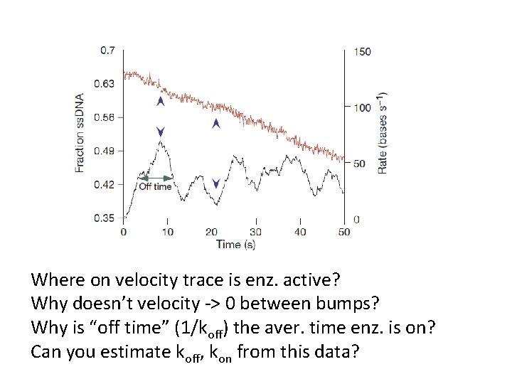 Where on velocity trace is enz. active? Why doesn’t velocity -> 0 between bumps?
