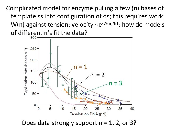 Complicated model for enzyme pulling a few (n) bases of template ss into configuration